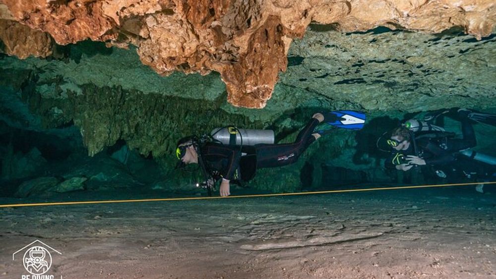 All-Day Cenote Scuba Diving Excursion from Playa del Carmen