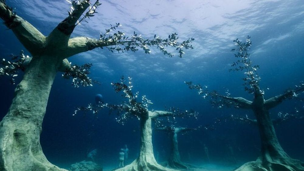 Musan Underwater Park Adventure Dive Discover Scuba Diving