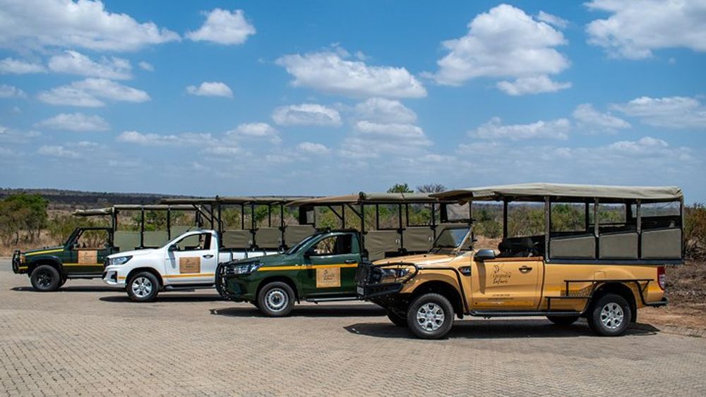 Full Day Kruger Safari Tour