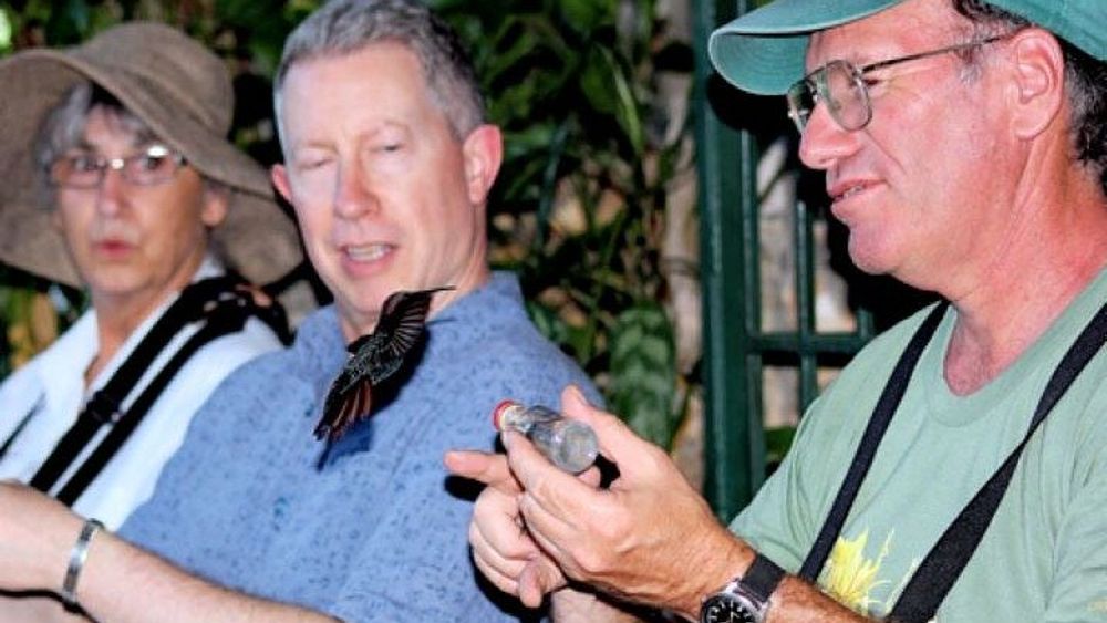 Falmouth: Montego Bay Highlights with Rocklands Bird Sanctuary