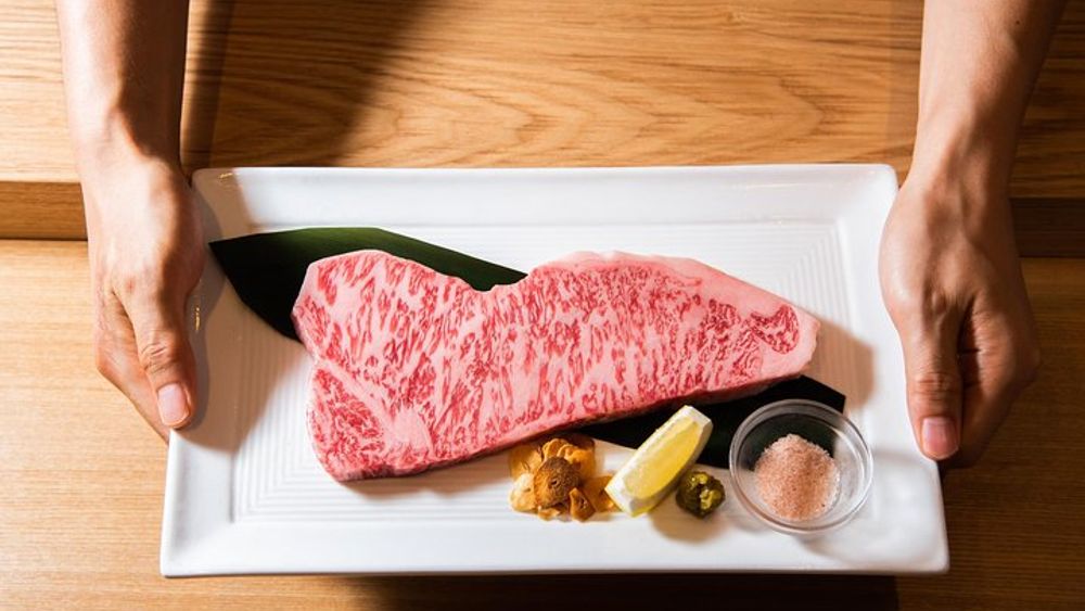 Tokyo: Wagyu Beef and Sake Pairing Meal, Shinjuku