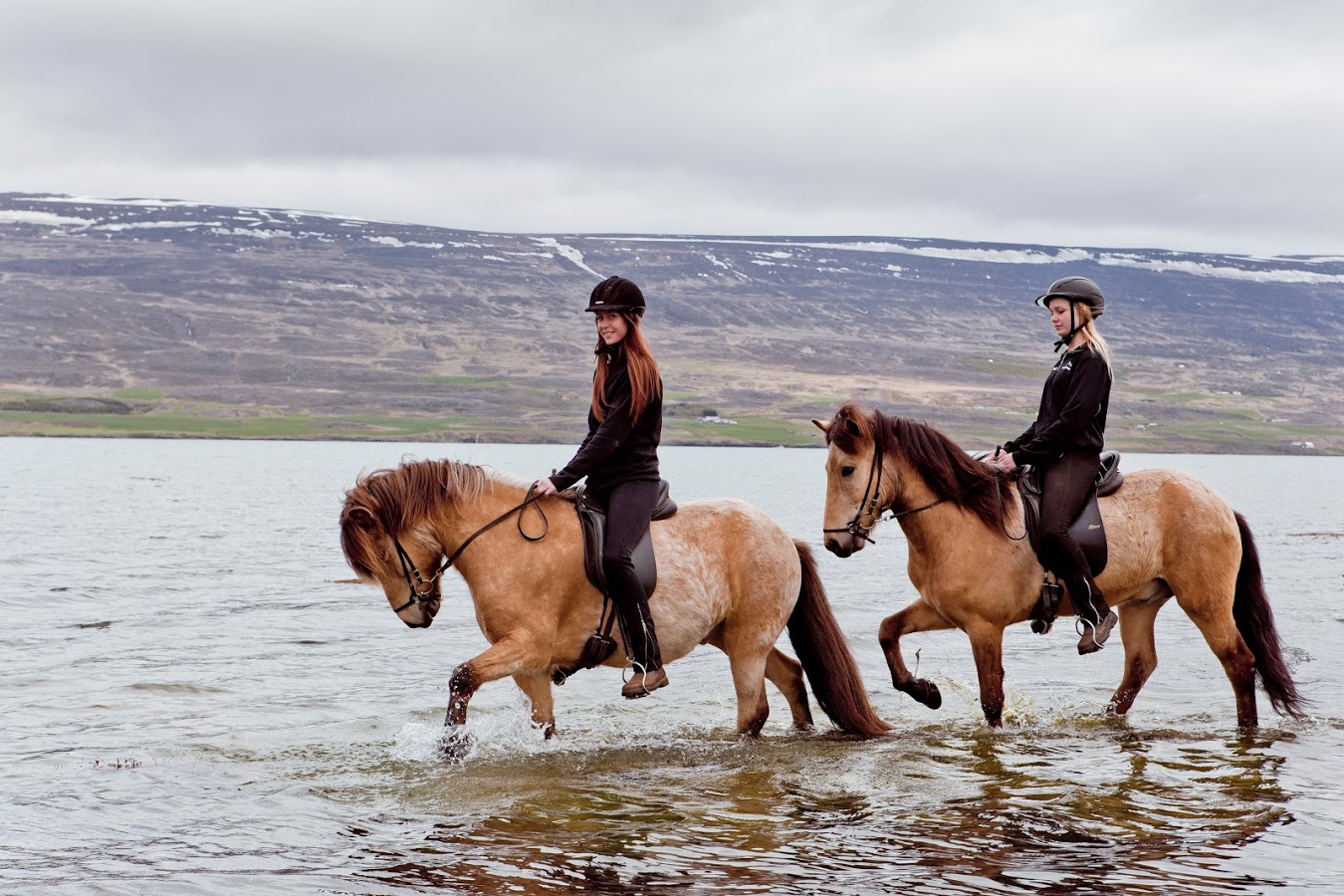 Private riding tour (Akureyri)