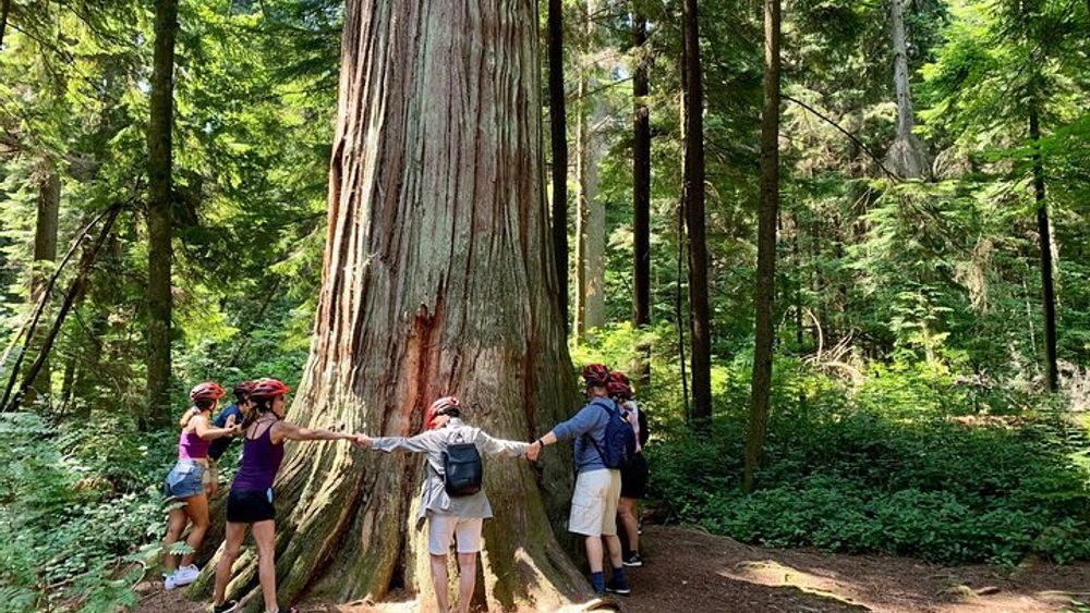 Vancouver Stanley Park Guided Bike Tour