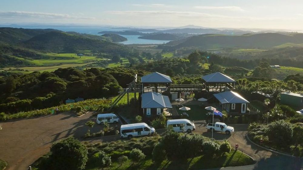 Waiheke Island: Zipline And Forest Walk