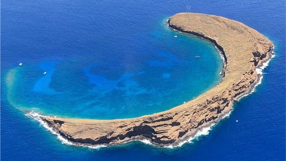 Maui: Molokini Crater and Turtle Town Snorkeling From Kihei