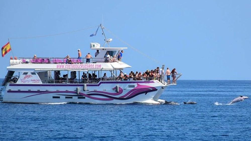 Benalmadena Dolphin Watching Boat Tour