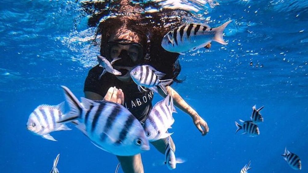 Snorkeling Tour Tahiti