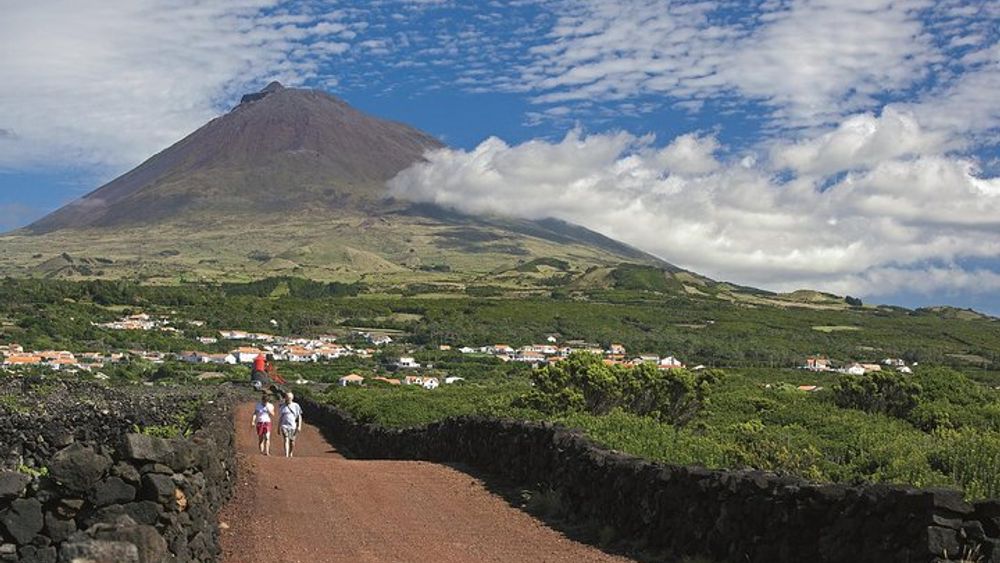Full-Day Pico Island Tour from Horta