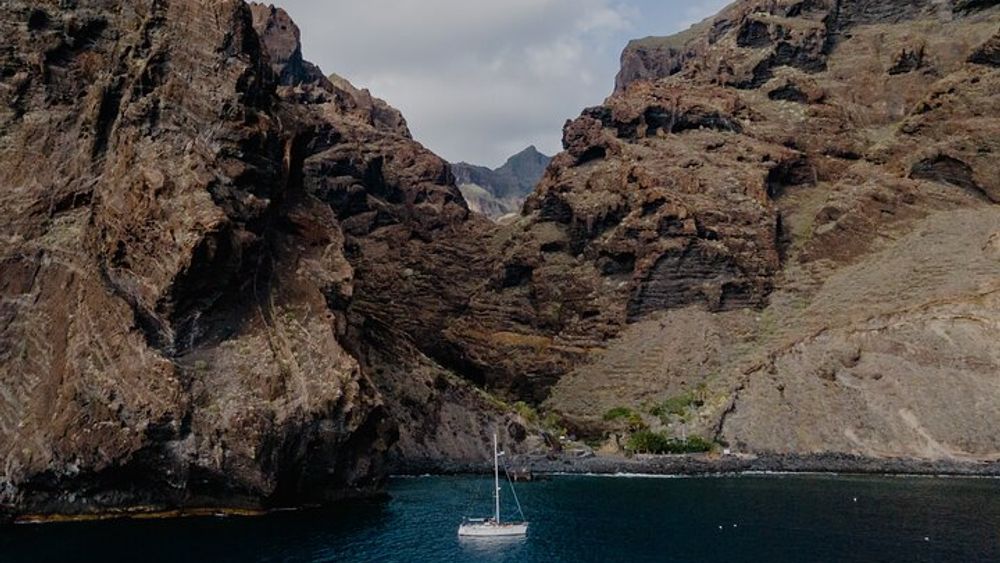 Los Gigantes Clifs Small-Group Sail Tour with Lunch