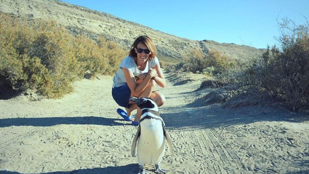 El Pedral Penguins Colony, Puerto Madryn Patagonian Ranch Tour