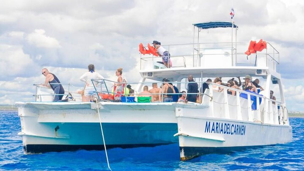 Full Day Snorkeling in Catalina Island with Transportation and Lunch