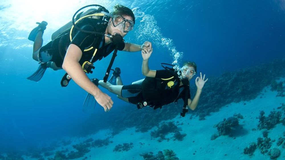 From Dubai: Discovery Scuba Diving trip in Fujairah
