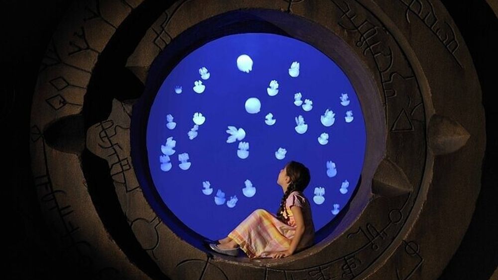 Skip The Line: Atlantis The Lost Chambers Aquarium