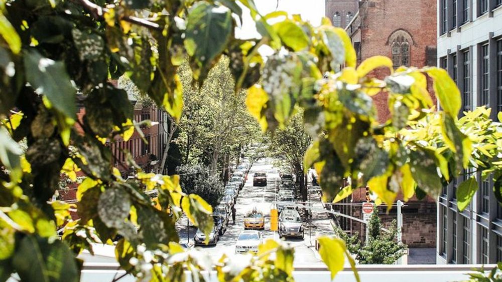 High Line, Meatpacking District, Chelsea NYC Walking Tour