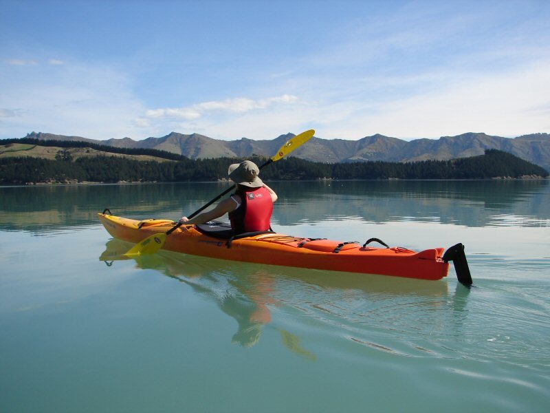 Sea Kayaking, Lyttelton Harbour & Quail Island- from Christchurch
