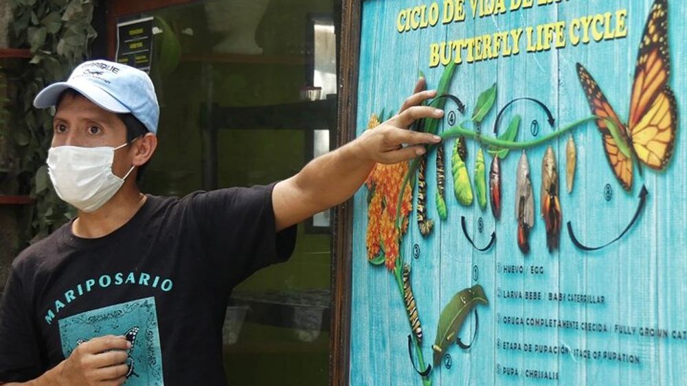 Butterfly Sanctuary Guided Tour in Puerto Vallarta