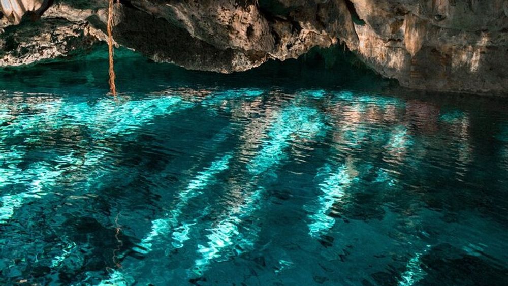 Five Cenotes Jungle Experience in the Riviera Maya