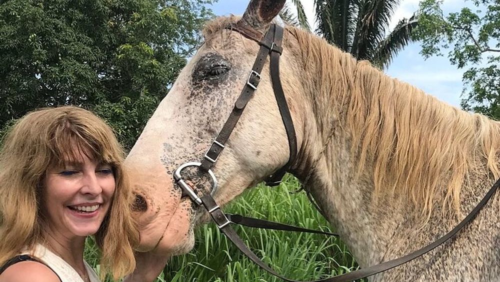 Jungle and farm horseback riding adventure!
