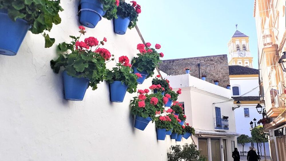 Marbella: group walking Tour