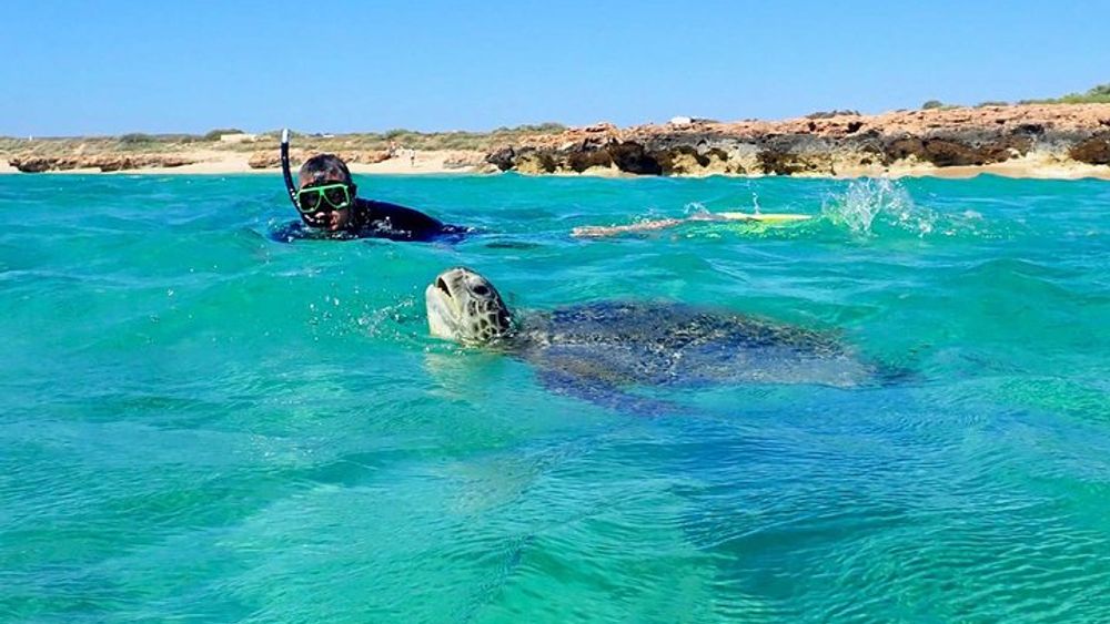 Ningaloo Reef Half -Day Sea Kayak and Snorkel Tour