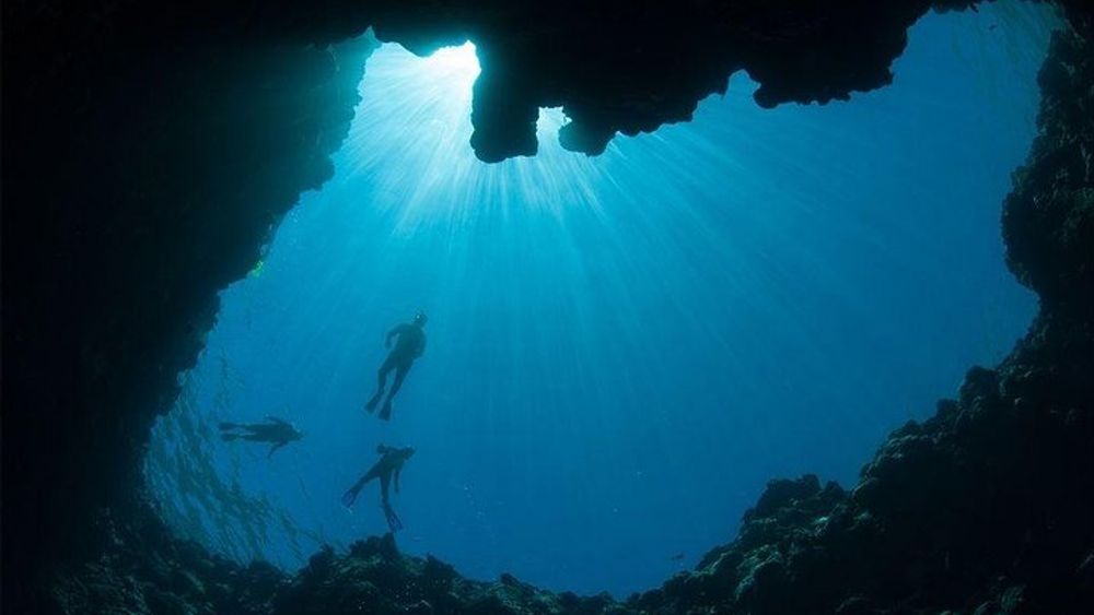 Sharm el-Sheikh: Snorkel & Camel Safari at Blue Hole