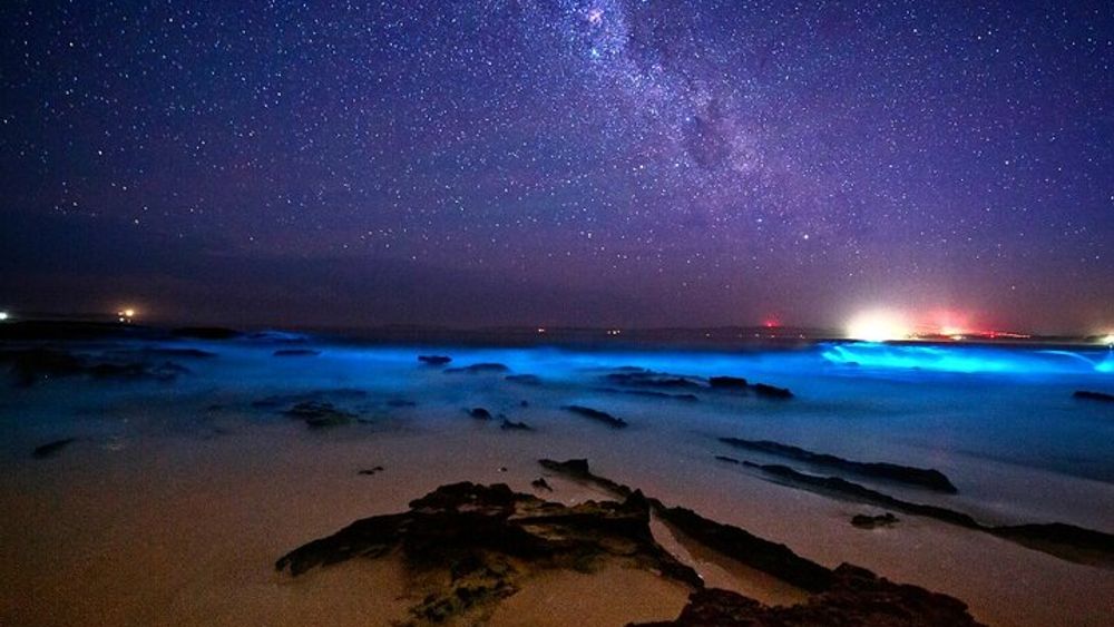 Titusville Sunset and Night Bioluminescence Kayak Paddle Tour