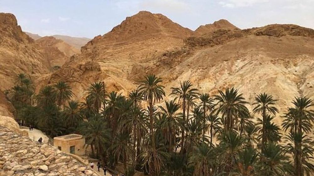 Half-day excursion the mountain oases from Tozeur