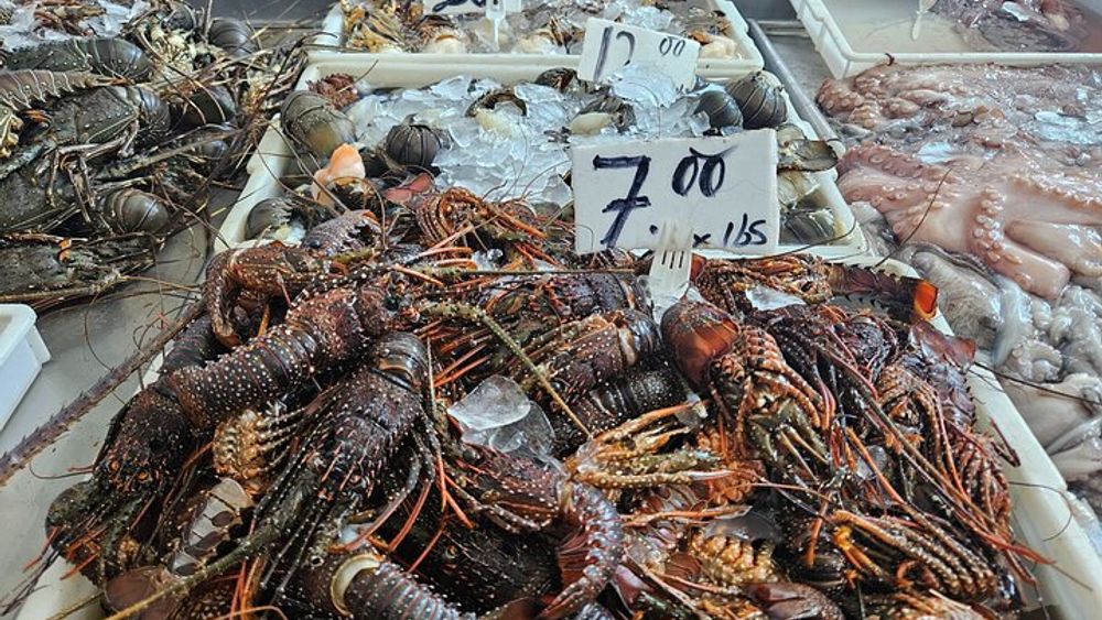 Premium Foodie Tour in Panama Casco Viejo