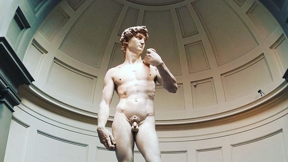 Accademia Gallery express tour with skip-the-line tickets