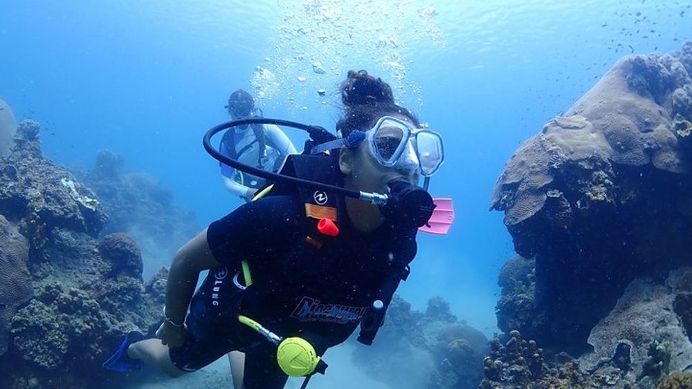 Koh Samui Discovery Scuba Dive with Lunch and Pictures