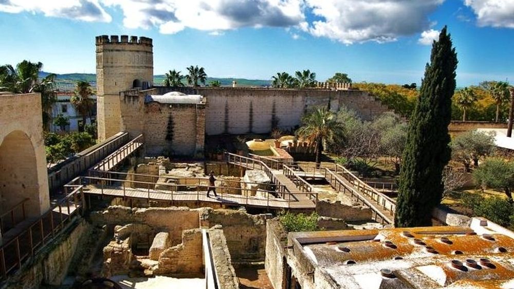 Jerez Walking Tour with Alcazar and Cathedral Entrance