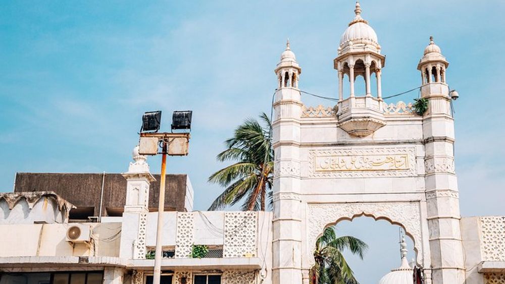 Small-Group 2-Hour Walking Tour of Old Delhi