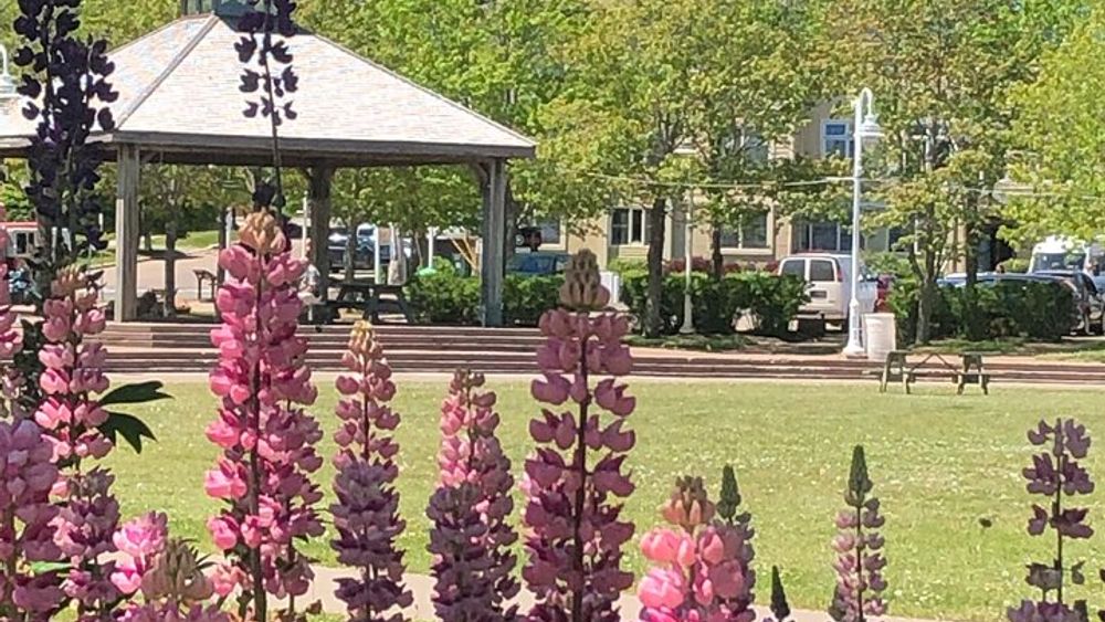 Historic Walking Tour of Charlottetown