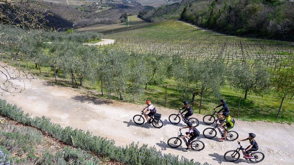 Chianti Small-Group Half-Day E-Bike Tour with Wine Tasting