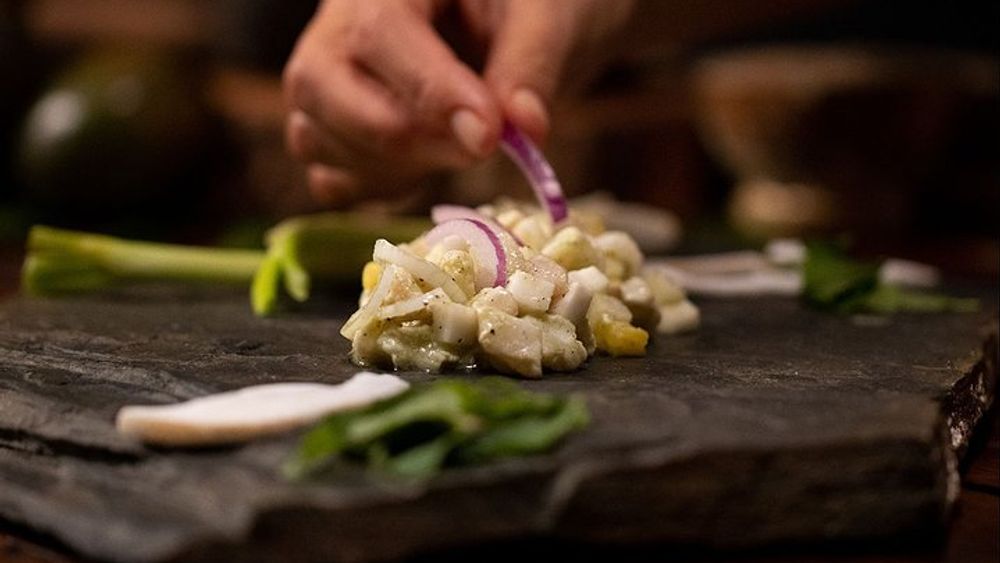 Private Mayan Cooking Class in Cozumel
