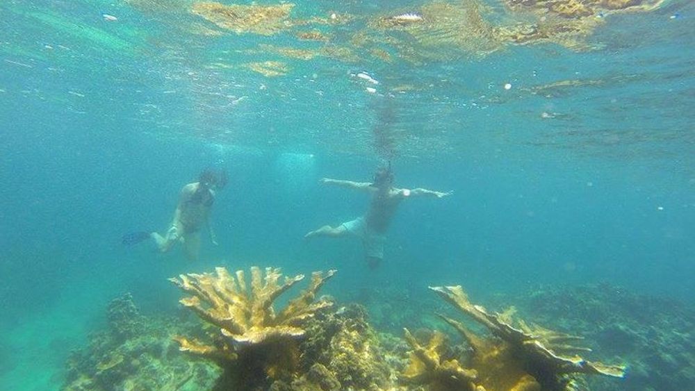 Panama City, Panama Caribbean Coast and Snorkeling Tour
