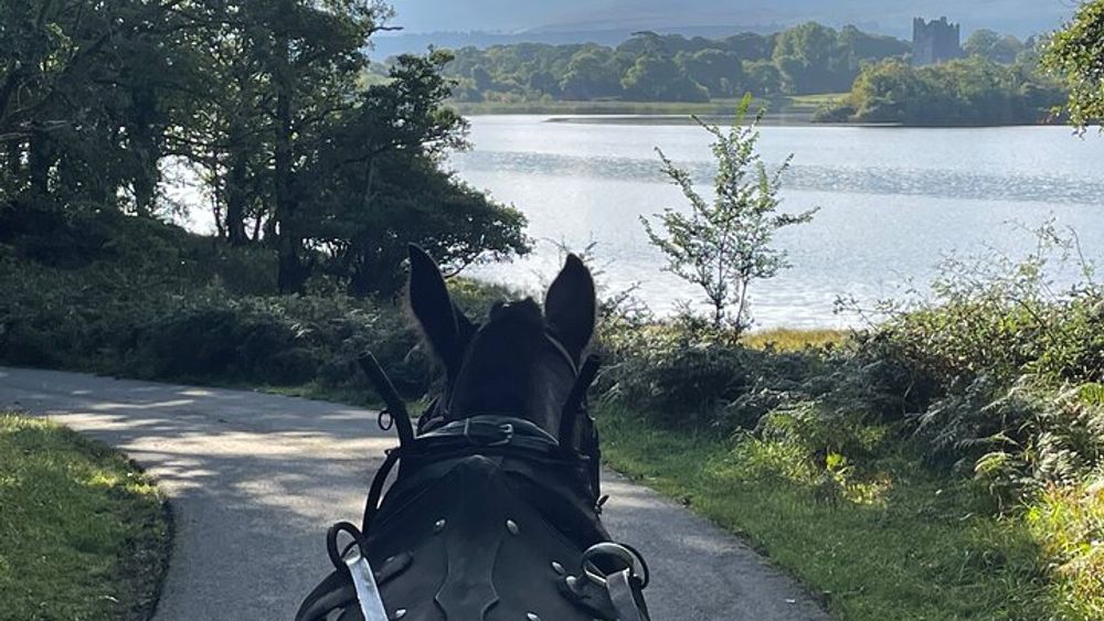 Horse-Drawn Carriage Tours in Killarney