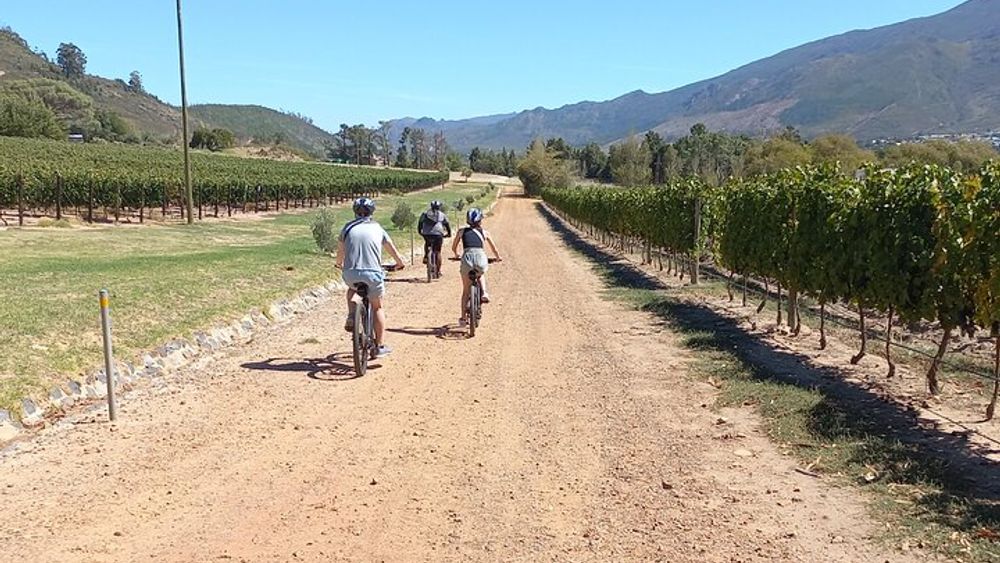 Franschhoek Shared E-Bike and Wine Tour