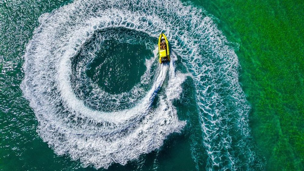 Noosa Adventure Boat Tour