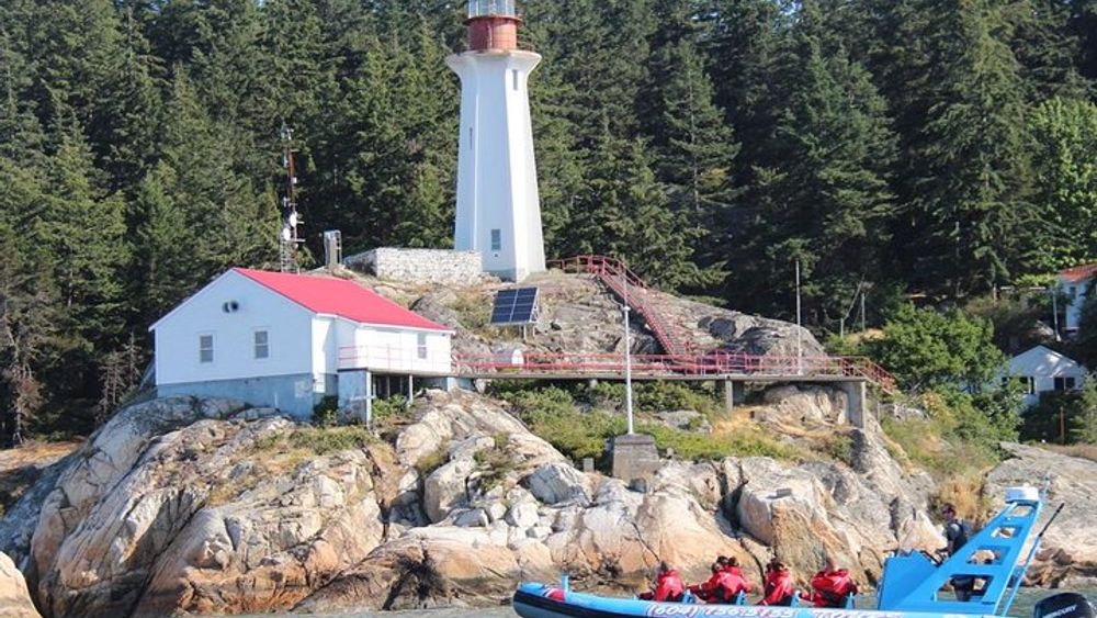 Vancouver Harbour and Seal Colony Small-Group Boat Cruise