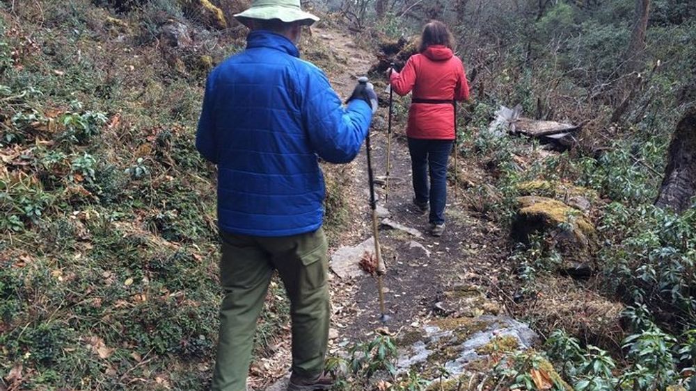 Guided Village walk with Stories in Dharamsala