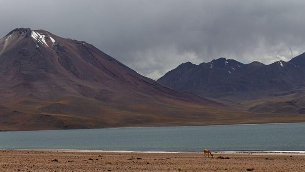 Hidden Lagoons of Baltinache