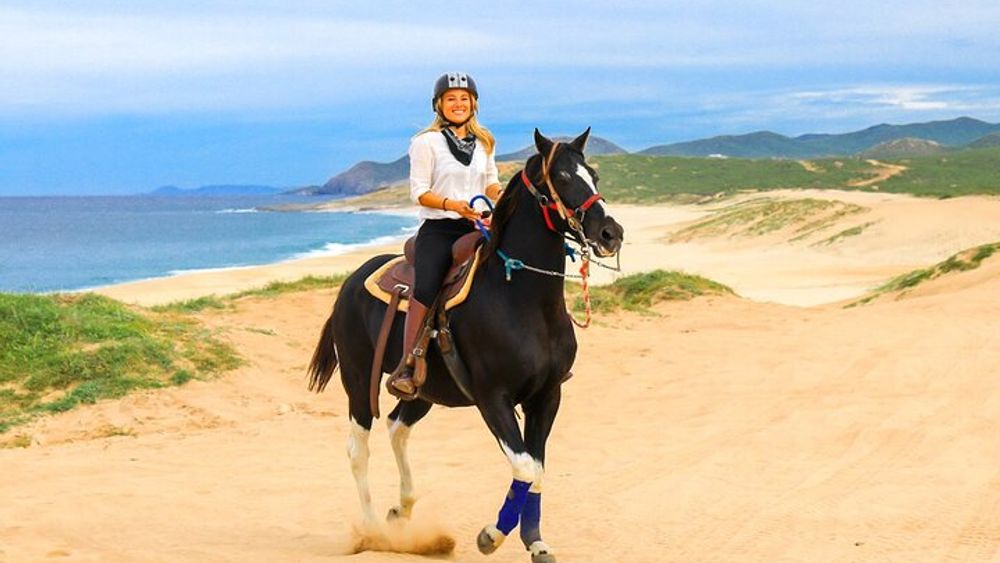Cabo San Lucas Horseback Beach Ride