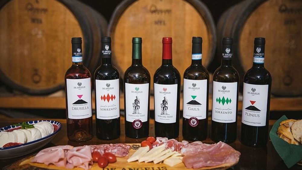 2-Hour Guided Tasting of 5 Wines in Sorrento