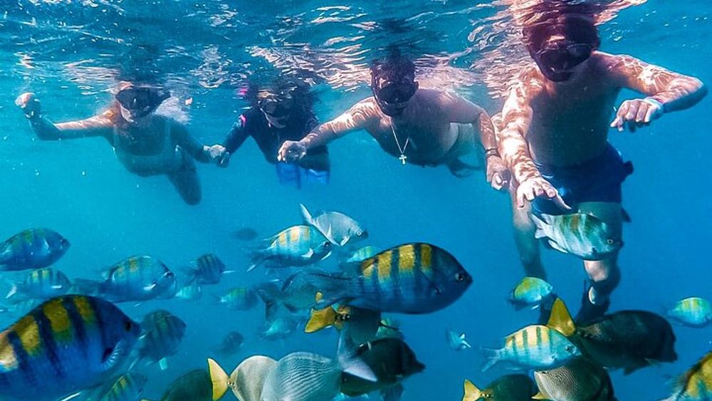 Los Cabos Snorkeling Tour by Speed Boat with Photos Included