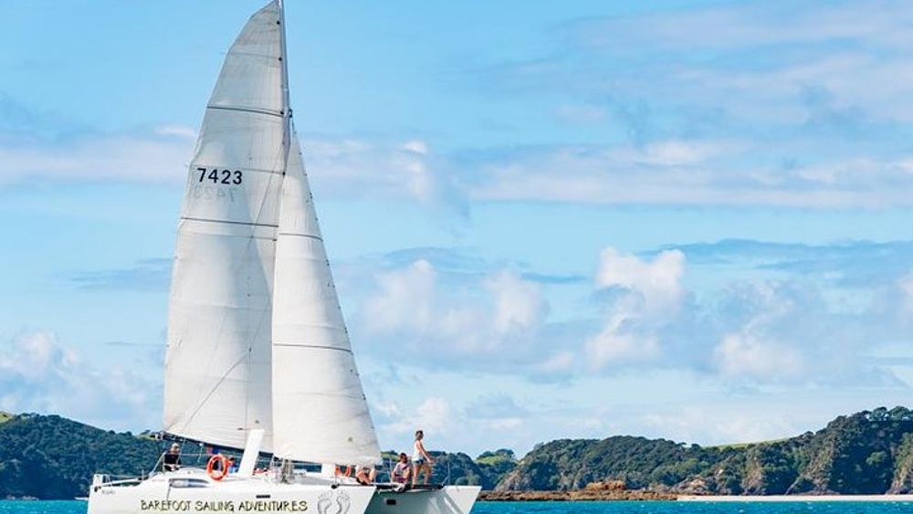 Island Hopper Day Cruise - sailing to wildlife sanctuary island - 6 hr cruise