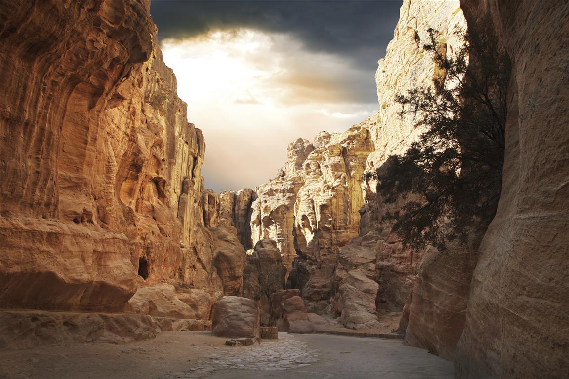 Petra, Wadi Rum, and Shobak 3 days