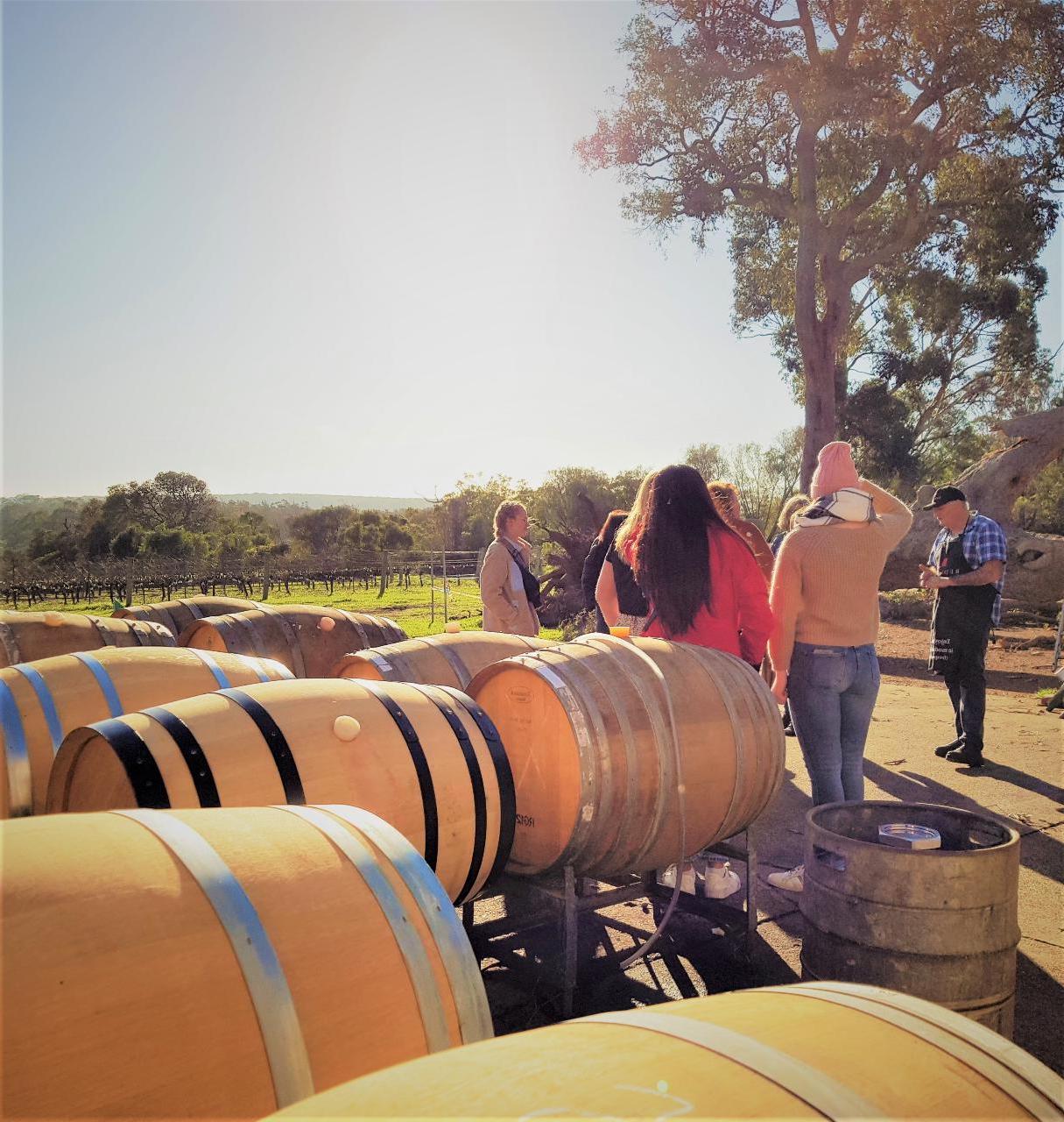 Margaret River Secret Delights: Half-Day Boutique Wine, Artisan and Forest Tour