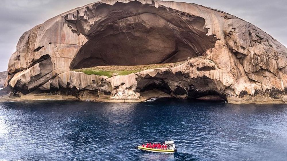 Wilderness Amphibious Boat Cruise of Wilsons Promontory