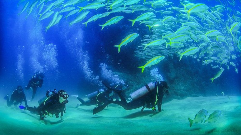 Cabo San Lucas Small-Group Certified Dive